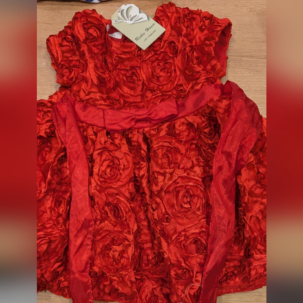 Valentines Toddler girl Red Rose Richie House 18m Dress